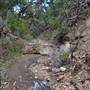 Madrone Ranch