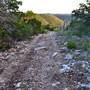 Madrone Ranch