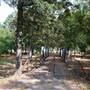 Quitman Arboretum