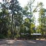 Tyler State Park