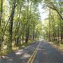Tyler State Park