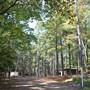 Tyler State Park