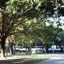McLennan Community College