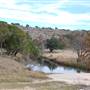 Longhorn River Ranch
