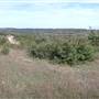 Longhorn River Ranch