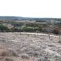 Longhorn River Ranch
