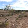 Longhorn River Ranch