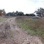 Longhorn River Ranch
