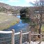 Longhorn River Ranch