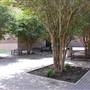 University of Texas Rio Grande Valley - Edinburg Campus