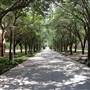 University of Texas Rio Grande Valley - Edinburg Campus
