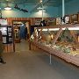 Commemorative Air Force Base (Central Texas Wing)