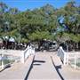 League Park