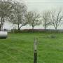Maeshill Farm
