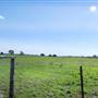 Sunset Ranch
