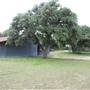Storm Ranch