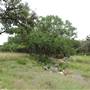 Storm Ranch