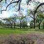 Harry Moss Park
