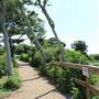 Seabrook Hike & Bike Trails