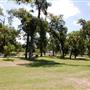 Roosevelt Park