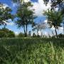 Abston Cemetery