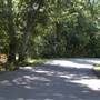 Palmetto State Park