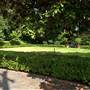 Belle Oaks Inn Bed & Breakfast