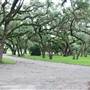 Le Tulle Park