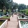 Hill Country Water Gardens & Nursery