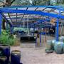 Hill Country Water Gardens & Nursery