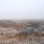 Mendota Ranch