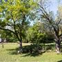 Bloor House