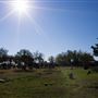 Manor City Cemetery