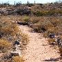 Odessa Meteor Crater Museum