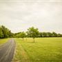 Pete's Path