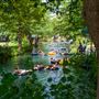 Schlitterbahn Waterpark & Resort - New Braunfels