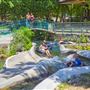 Schlitterbahn Waterpark & Resort - New Braunfels