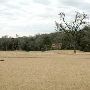 Hyatt Regency Lost Pines Resort & Spa - Wolfdancer Golf Club
