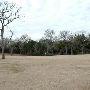 Hyatt Regency Lost Pines Resort & Spa - Wolfdancer Golf Club