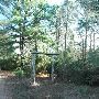 McKinney Roughs Nature Park