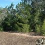 McKinney Roughs Nature Park