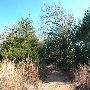 McKinney Roughs Nature Park