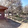 Buescher State Park