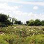 Mueller Lake Park