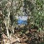 Buescher State Park