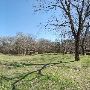 Buescher State Park
