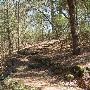 Buescher State Park
