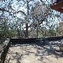 Buescher State Park