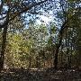 Buescher State Park