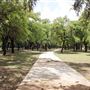 Olmos Basin